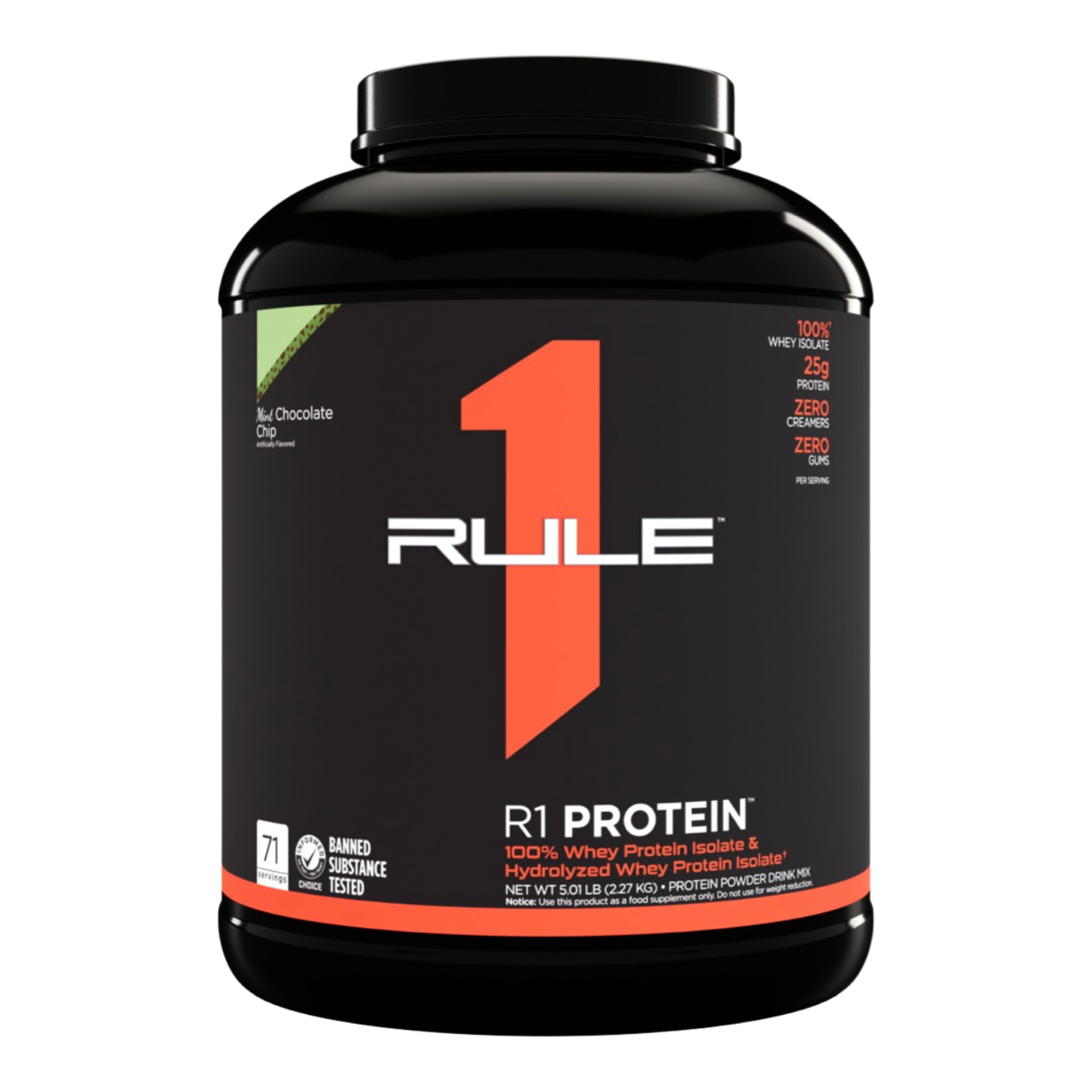 R1 Protein 5LB Choc Mint